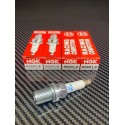 Lot de 4 bougies NGK R6601-8